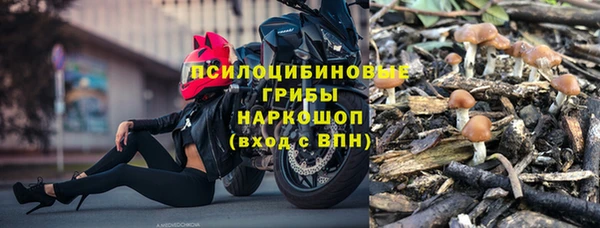 эйфоретик Горняк