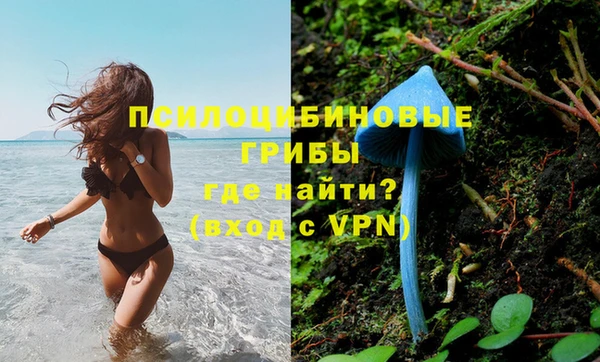 эйфоретик Горняк