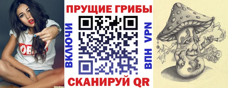 Галлюциногенные грибы Psilocybe где купить наркоту маркетплейс какой сайт Невьянск